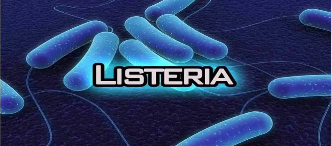 Listeria monocytogenes - aktualne wyzwanie